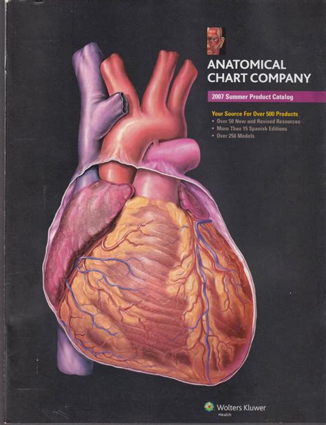 Anatomical Chart Company Catalog Summer 2007