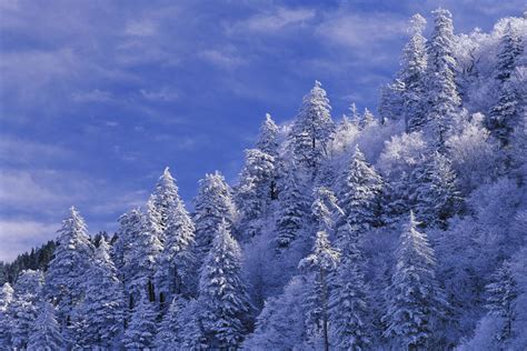 Smoky Mountain Winter Scenes Wallpaper 42 Images