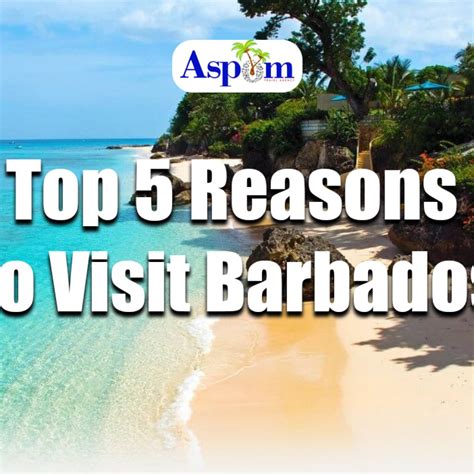 Top 5 Reasons To Visit Barbados Aspom Travels Blog