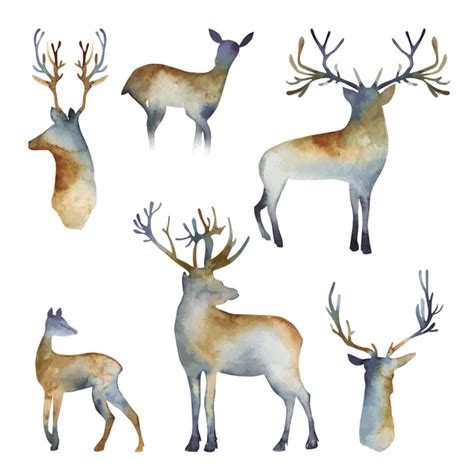 Premium Vector Collection Of Watercolor Silhouettes Of Deers Hand