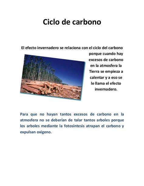 Latam Colombia Con Carbono Neutro En Operacin Domstica