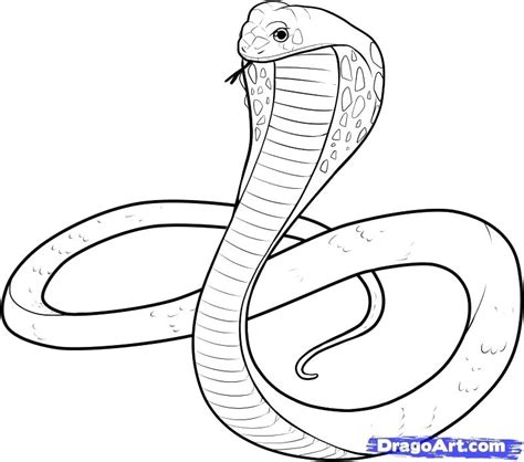 Snake Drawing For Kids At Getdrawings Free Download