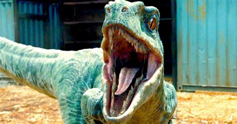Jurassic World Tv Spot Introduces The Raptor Squad Jurassic World Tv Spot World Tv