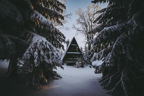 Wallpaper House Winter Snow Forest Comfort Hd Widescreen High