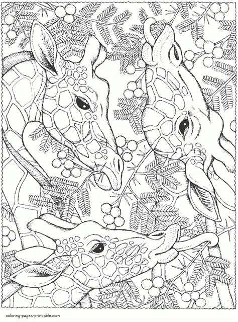 Coloring Pages For Adults And Teens