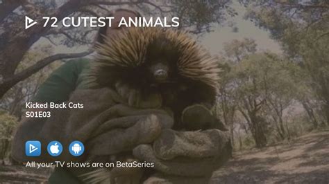 Watch 72 Cutest Animals Season 1 Episode 3 Streaming Online