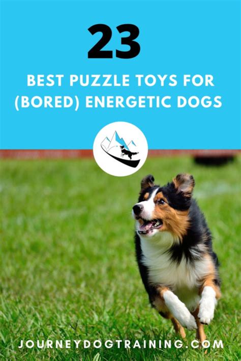 Not only do they offer them the mental stimulation which they need, but it reduces the likelihood of them chewing i believe the best puzzle toys for dogs involve your pup getting a treat once they have completed the puzzle. 23 Best Puzzle Toys for (Bored) Energetic Dogs | Journey ...