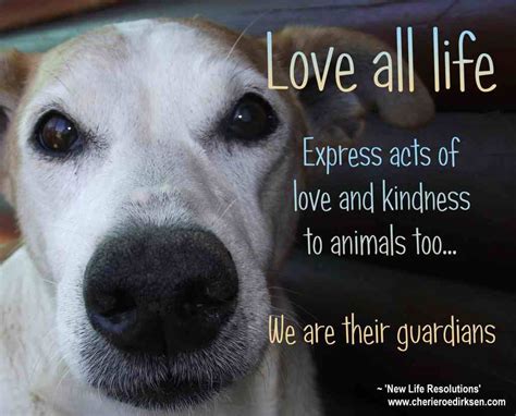 Love Animals Animal Love Quotes Animal Quotes Kindness To Animals