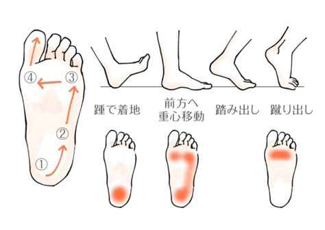 Последние твиты от tvアニメ『五等分の花嫁』公式 (@5hanayome_anime). 下半身太り・腰痛も浮き指が原因。あなたの足の指も浮いて ...