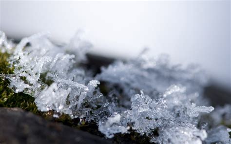 Frost Snowflakes Macro Crystals Hd Wallpaper Wallpaper Flare