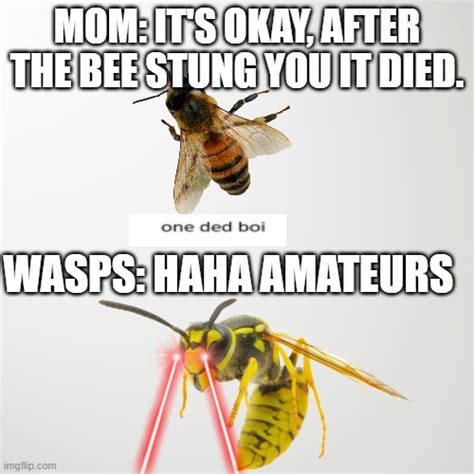 Wasps Cant Die Run Imgflip
