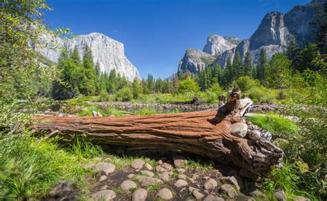 Vista Classica Della Valle In Parco Nazionale Di Yosemite California