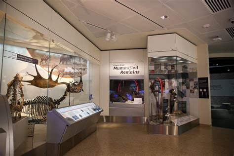 Dinosaurs Come To Life In The Museum Of Natural Historys New Hall Of