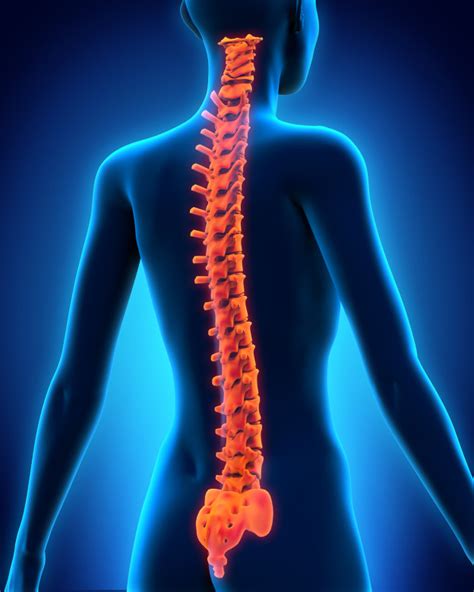 Each entry has a full citation identifying its source. 5 habits for a happy, healthy spine! - Glow Physio