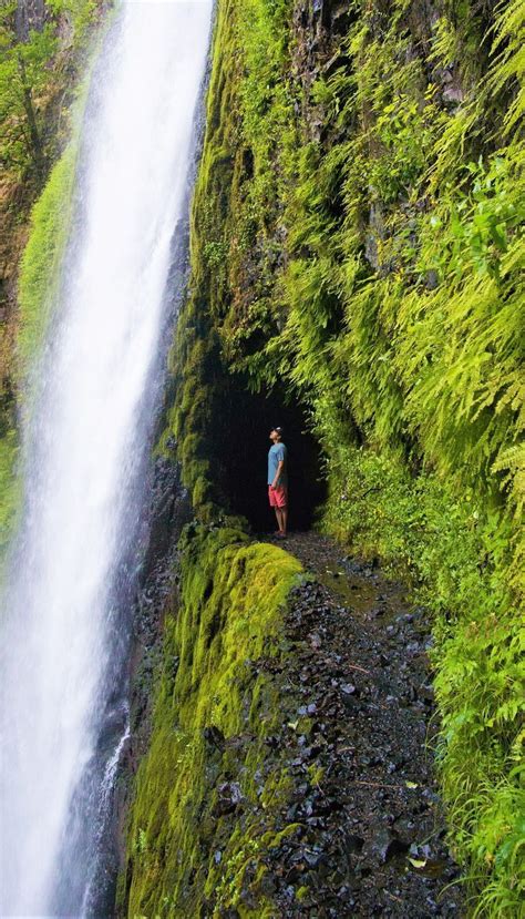 10 Amazing Waterfall Hikes In Oregon Oregon Road Trip Oregon Hikes