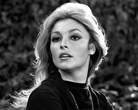 Sharon tate autopsy pictures - mzaerclinic