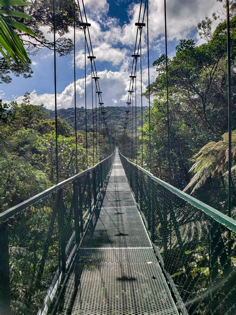 Hanging Bridges In Monteverde 2023 Guide Walking Over The Cloud