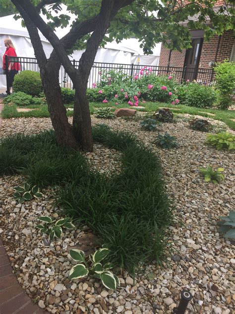 But miraculously the trees have recovered with a new buds after a good rain, so we had them flowering a month later. Liriope planting under a tree | Shade garden, Outdoor ...