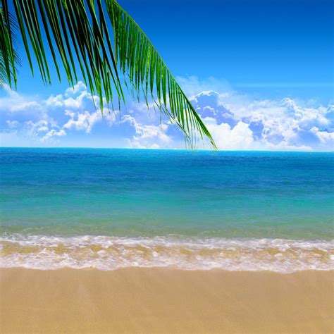 Summer Beach Desktop Wallpaper
