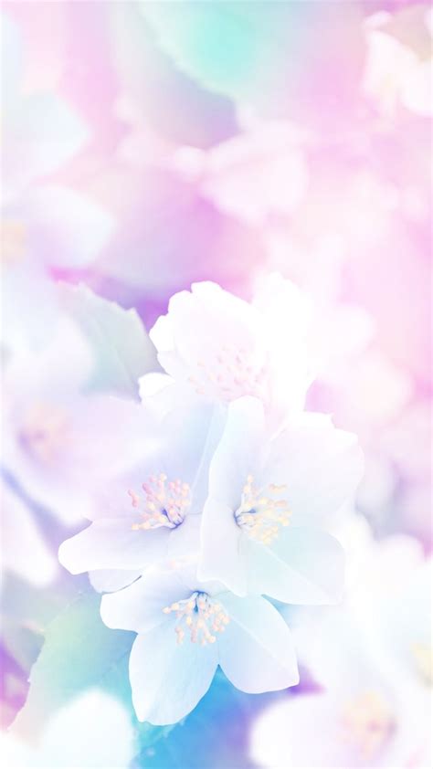 Pastel Pretty Wallpapers Flowers Photography Wallpaper Pastel