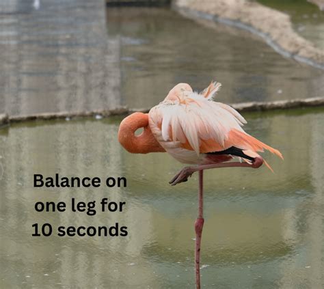 What Does It Mean If You Can T Balance On One Leg For 10 Seconds