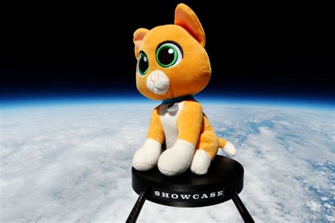 Buzz Lightyears Stuffed Cat Sidekick Sox Sent Into