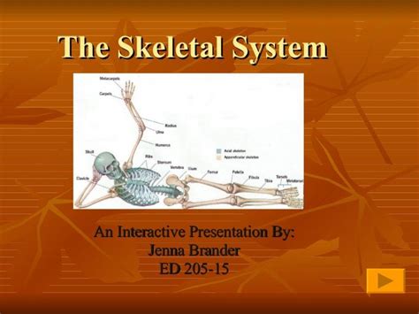 This Is An Interactive Powerpoint About The Skeletal System