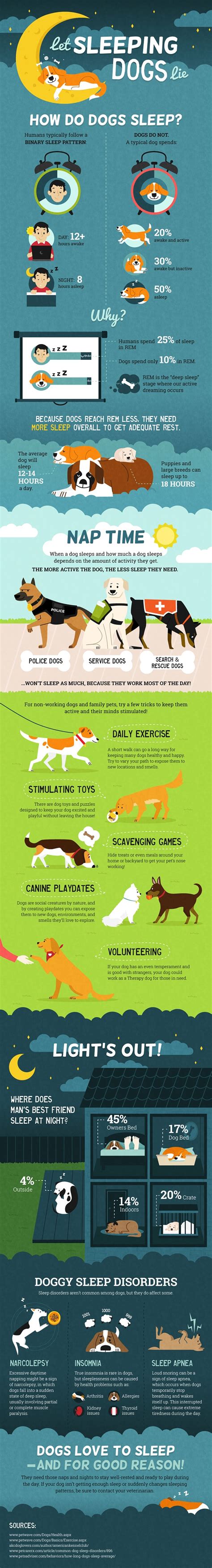 Compare that to humans, who only need 7 to 9 hours per day. Infographic: Is Your Dog Sleeping A Little Too Much ...