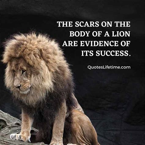Strong Like A Lion Quotes Be Inspired By These Powerful Sayings