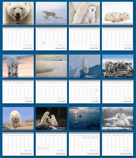 Old A Year With Polar Bears 2023 Calendar Us And Canada Only