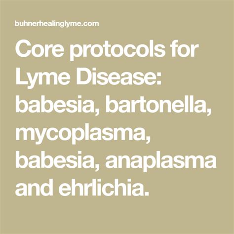Core Protocols For Lyme Disease Babesia Bartonella Mycoplasma