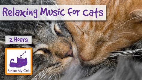Over 2 Hours Of Relaxing Music For Cats Youtube