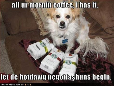 Negotiations I Like Dogs Coffee Humor My Starbucks