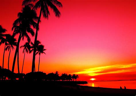 Sunset And Palm Trees Edit 2 By Mellowax On Deviantart