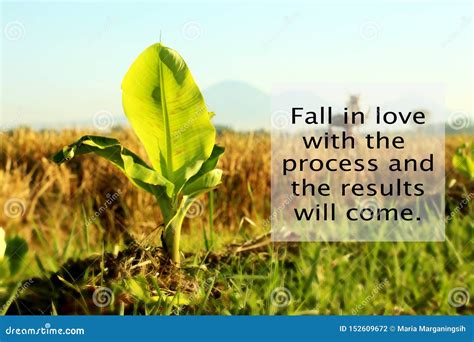 Inspirational Quote Fall In Love With The Process And The Results