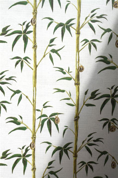 Money Tree In Bamboo Wallpaper