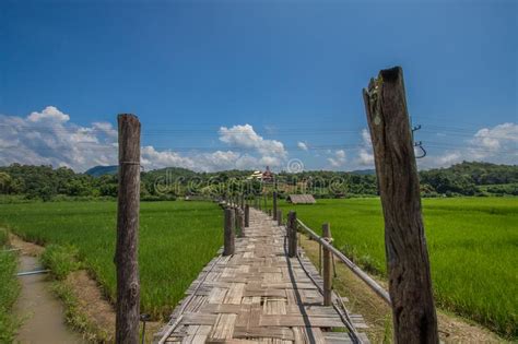 Rice Fields And Sutongpe Wooden Bridge Mae Hong Son Province In