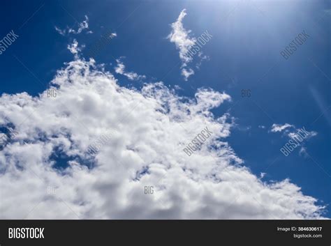 Beautiful Fluffy White Image And Photo Free Trial Bigstock