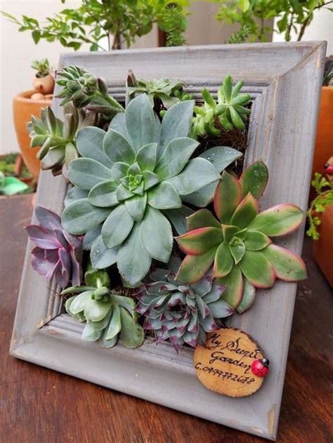 Diy Picture Frame Planter Diy Projects For Everyone Succulents Diy