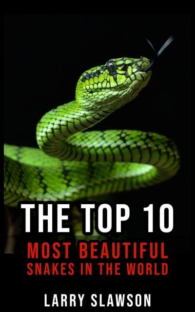 The Top 10 Most Beautiful Snakes in the World อบก Larry Slawson