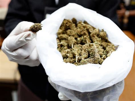 Thailand plans to make marijuana legal and axe jail terms for