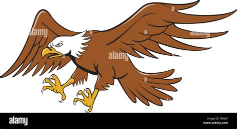 Illustration Of An American Bald Eagle Swooping Flying Viewed From The