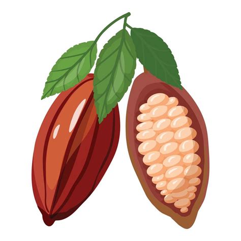 Cocoa Fruit Icon Cartoon Vector Cacao Bean 14152213 Vector Art At Vecteezy