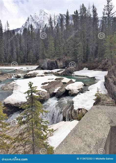 Stream With Snow Covered Rocks Rocky Mountains Canada Stock Image