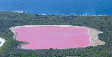 5 Things To Know About Australias Pink Lake Nature World News