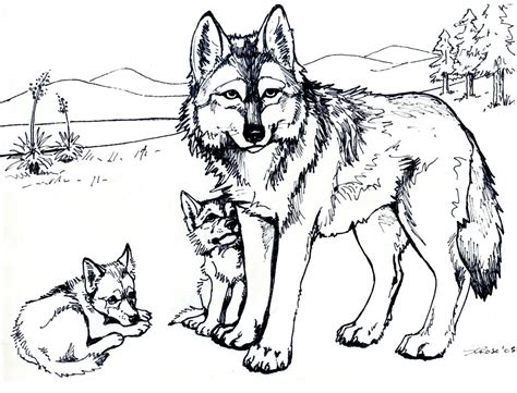 Ensure to guide your child at every step of the way to make him more confident as the pages can become quite challenging at times to color. Free Printable Wolf Coloring Pages For Kids