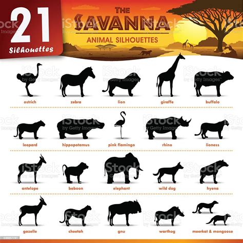 African Savanna Animals List