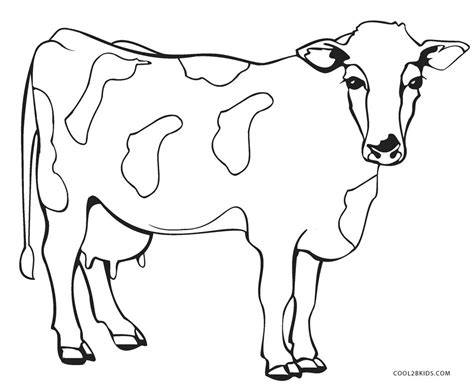 Cow And Calf Drawing At Getdrawings Free Download