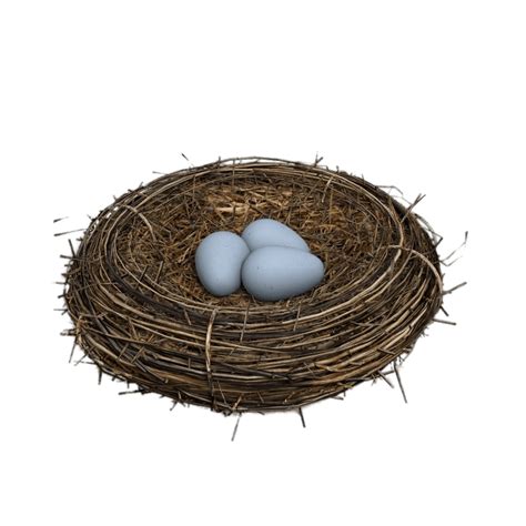 Nest Png Transparent Image Download Size 800x800px