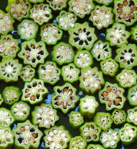 Check spelling or type a new query. Aunty Maria's Okra | Healthy Okra Recipes